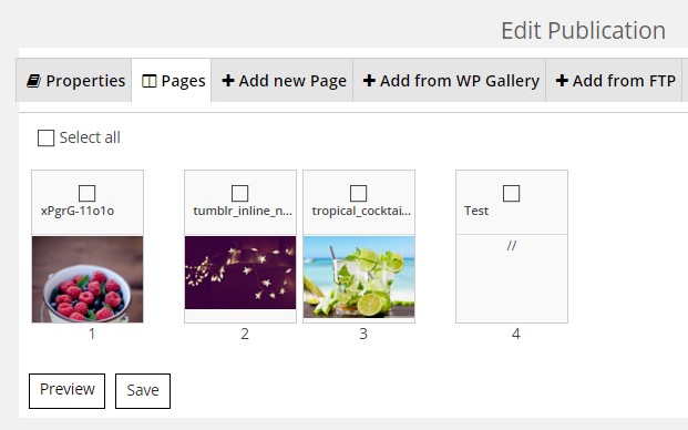 Pages Editing Pages Editing
