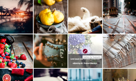 WordPress Gallery - Captions+Icons WordPress Gallery - Captions+Icons