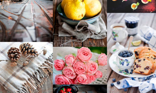 WordPress Gallery - Full Width WordPress Gallery - Full Width