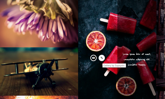 WordPress Gallery - Icons WordPress Gallery - Icons