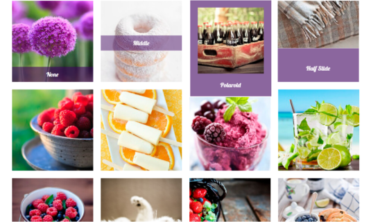 WordPress Gallery - Personal Caption Effects WordPress Gallery - Personal Caption Effects