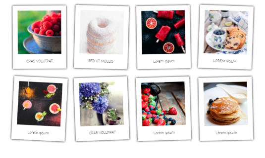 WordPress Gallery - Polaroid WordPress Gallery - Polaroid