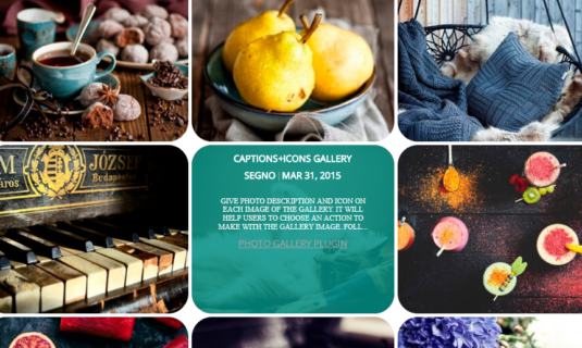 WordPress Gallery - Post Feed Cover WordPress Gallery - Post Feed Cover