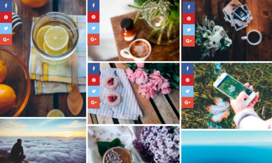 WordPress Gallery - Social Sharing WordPress Gallery - Social Sharing