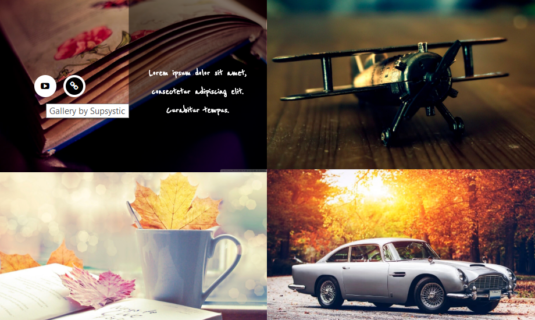 WordPress Gallery - Video WordPress Gallery - Video