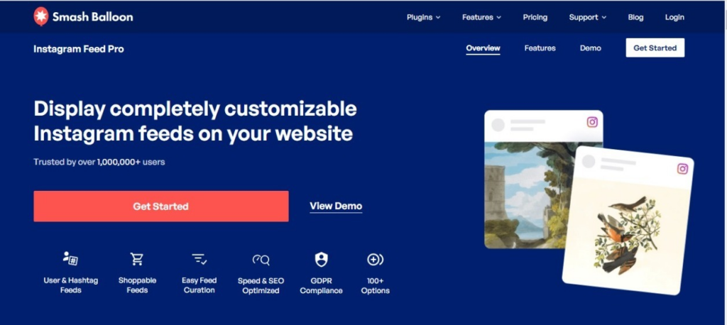 Instagram Feeds Plugin